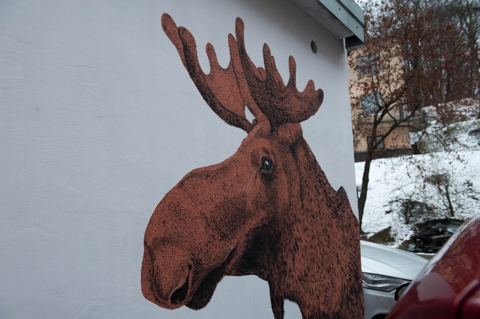 Kauno kiemuose – dar daugiau piešinių