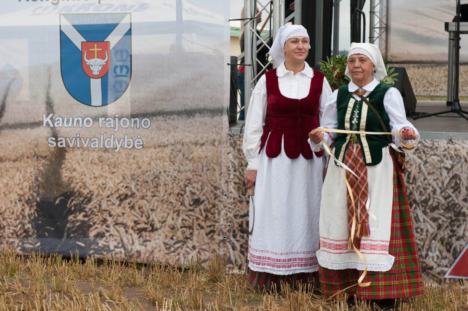 Javų derlius bus panašus kaip pernai?