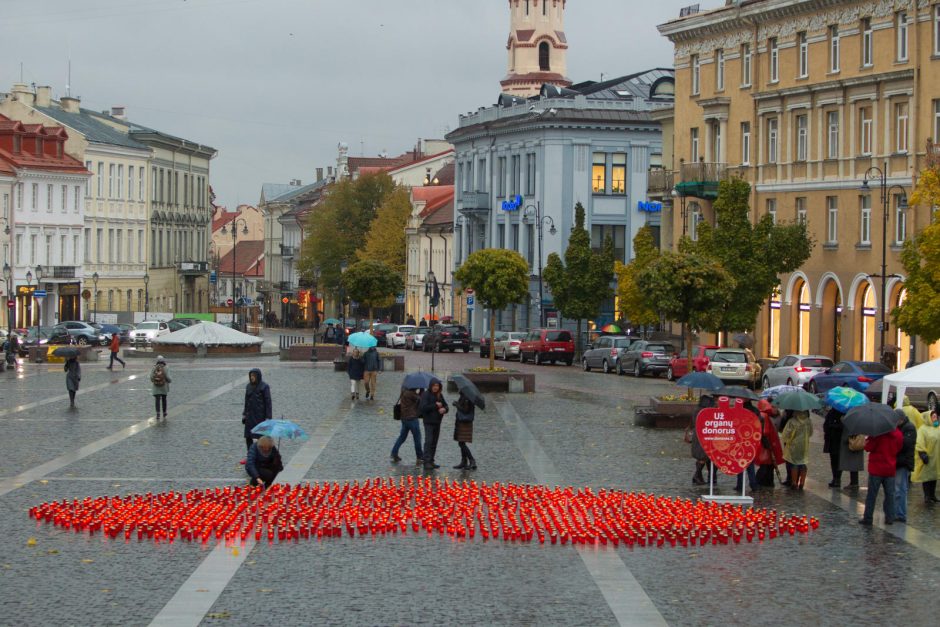 Žvakutės donorams šiemet suliepsnojo net 9 miestuose