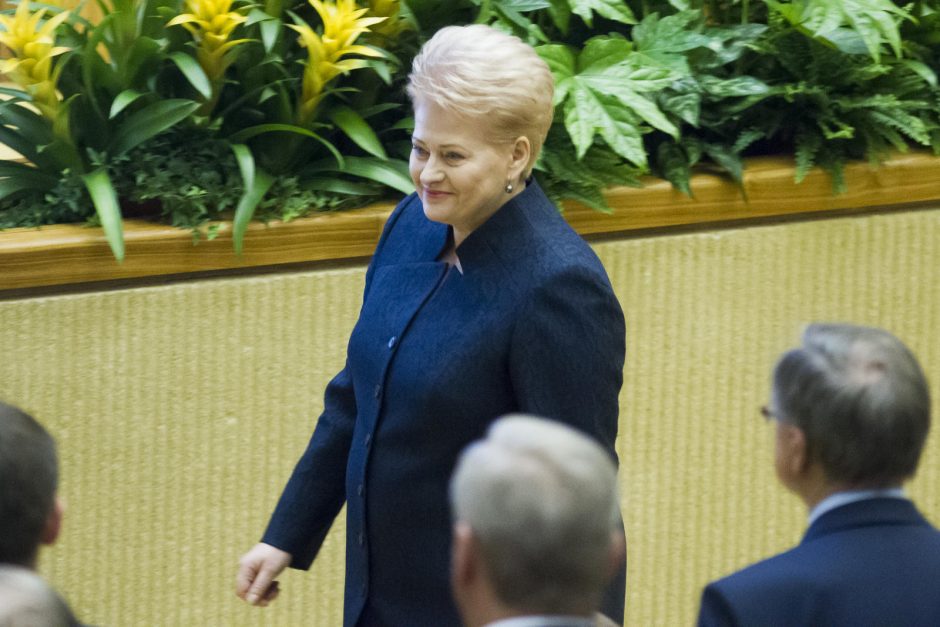 Prezidentė: šis Seimas gali padėti pamatą naujam valstybės raidos etapui