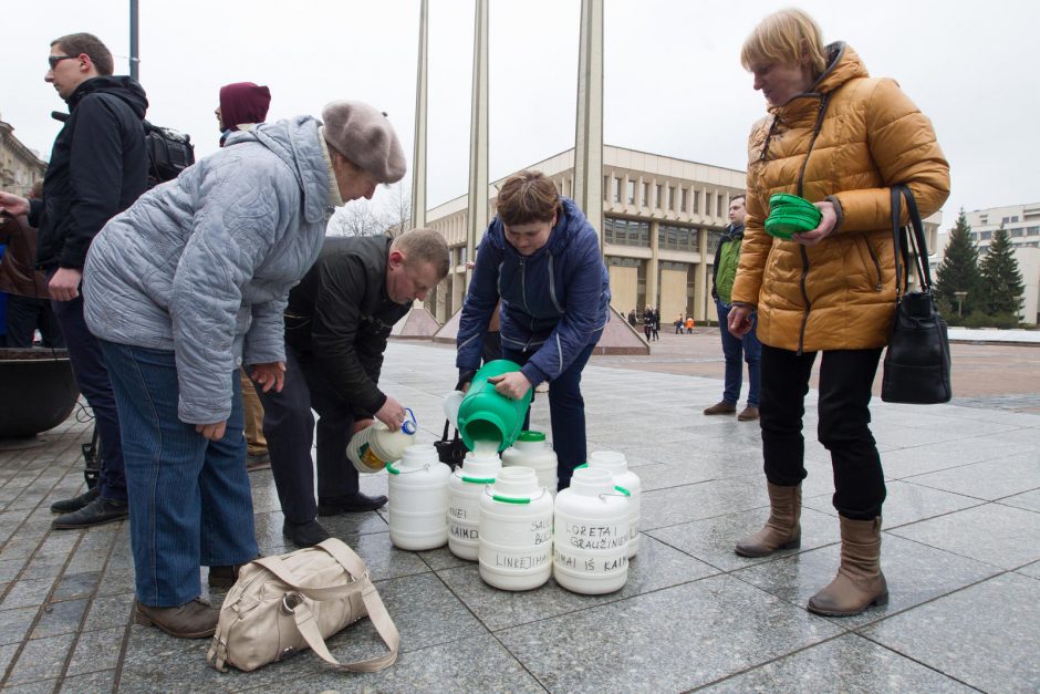 Pieno gamintojai į piketą atsivežė tik karvės griaučius