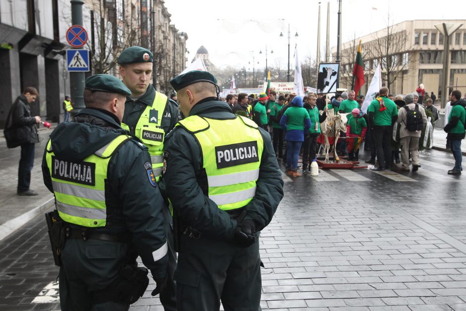 Pieno gamintojai į piketą atsivežė tik karvės griaučius