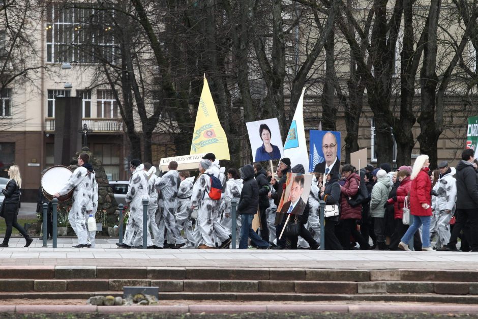 Pieno gamintojai į piketą atsivežė tik karvės griaučius