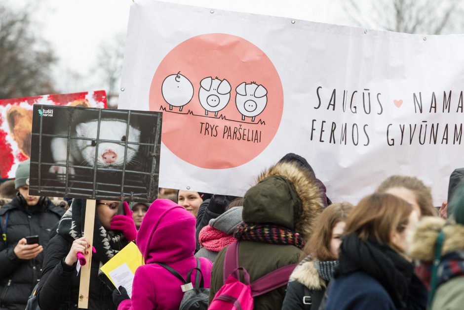 Gyvūnų gynėjai – prieš madą, dėl kurios žudoma