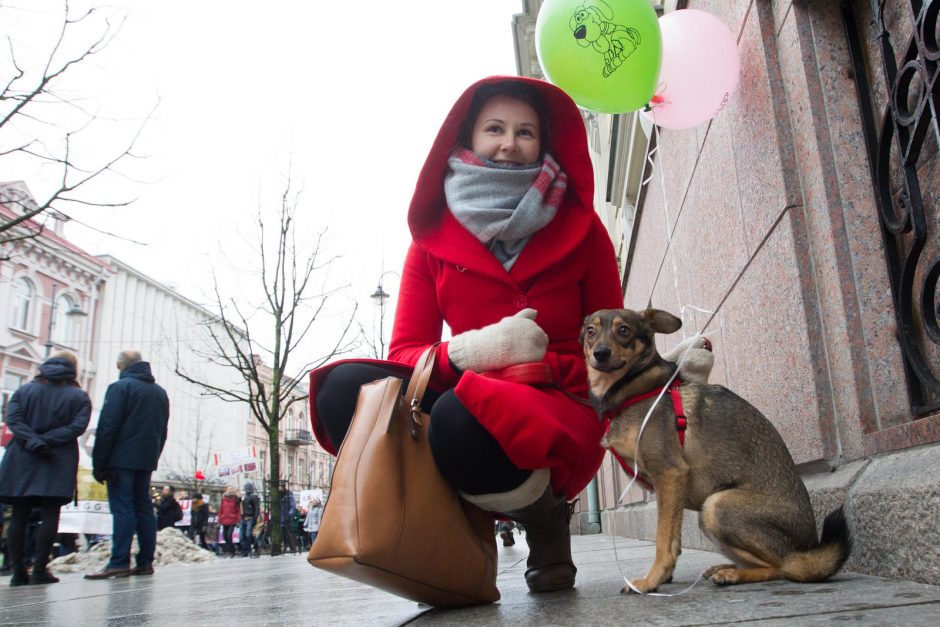 Gyvūnų gynėjai – prieš madą, dėl kurios žudoma