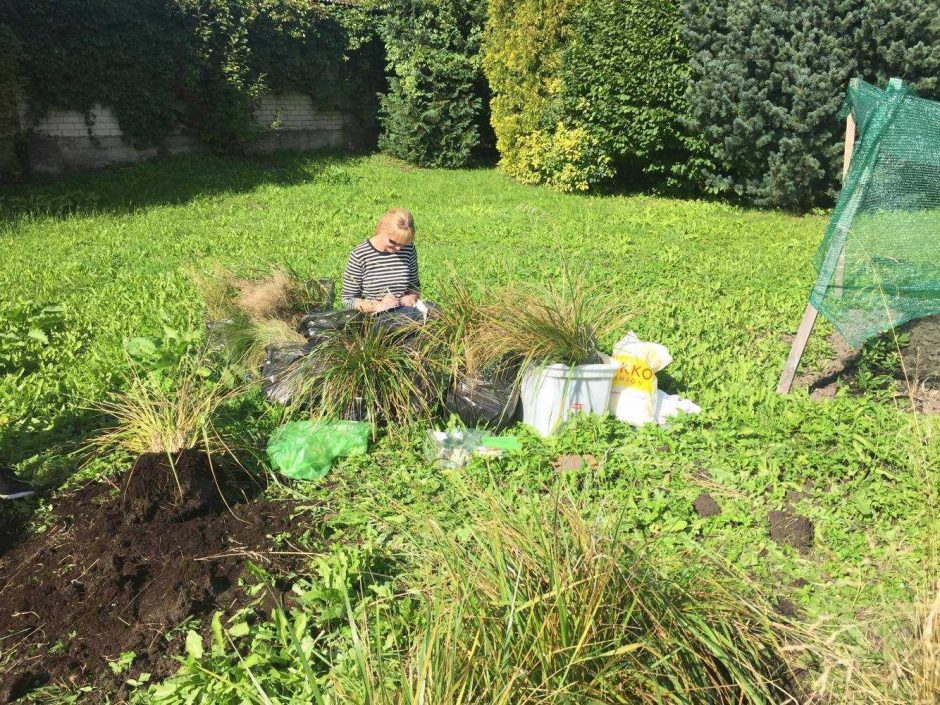 Lietuvių mokslininkų tyrimui – ypatingas tarptautinis dėmesys