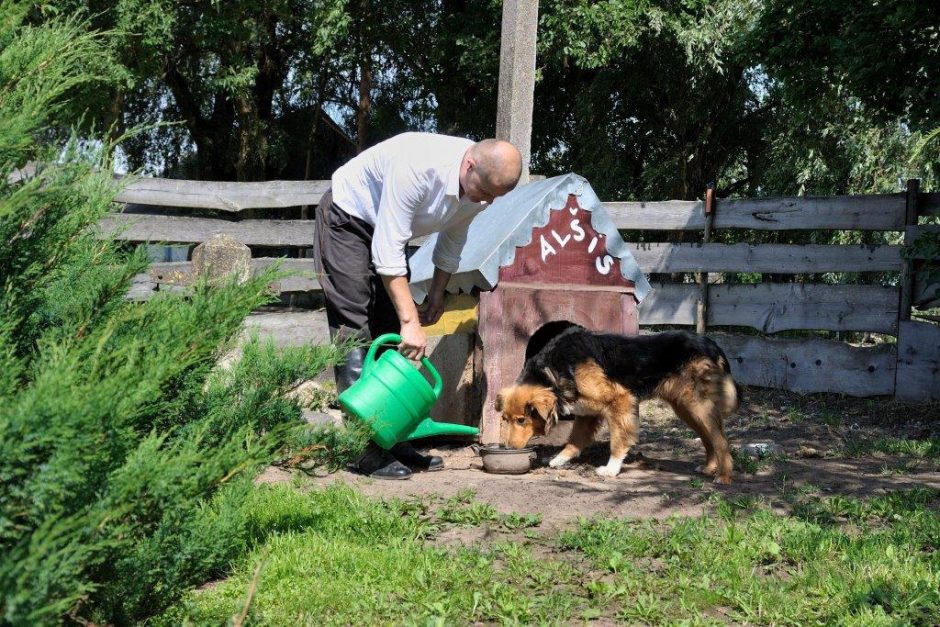 Keturkojo vienišiaus iš Alšėnų pilies metamorfozė