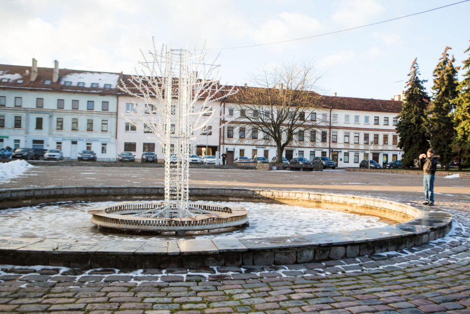 Steigiamojo Seimo aikštėje iškils namai?