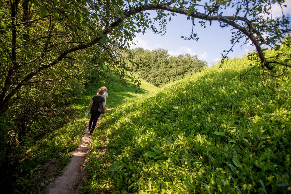 Pyplių piliakalnis pasikeis už 270 tūkst. eurų