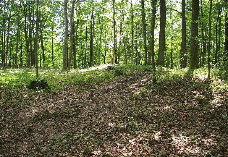 Piliakalnių metais atrandami ir saugomi nauji piliakalniai