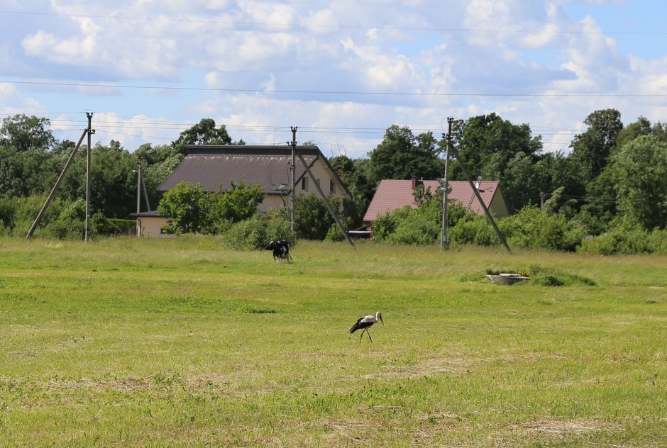 Lapių seniūnijos problemos: didžiulė plėtra ir sodai