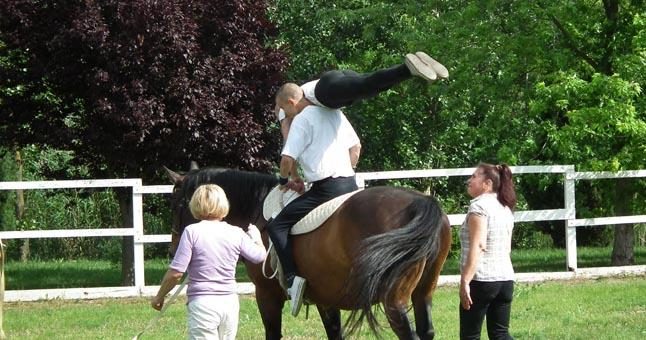 Neįprasta arklių terapija Vengrijoje šokiravo 