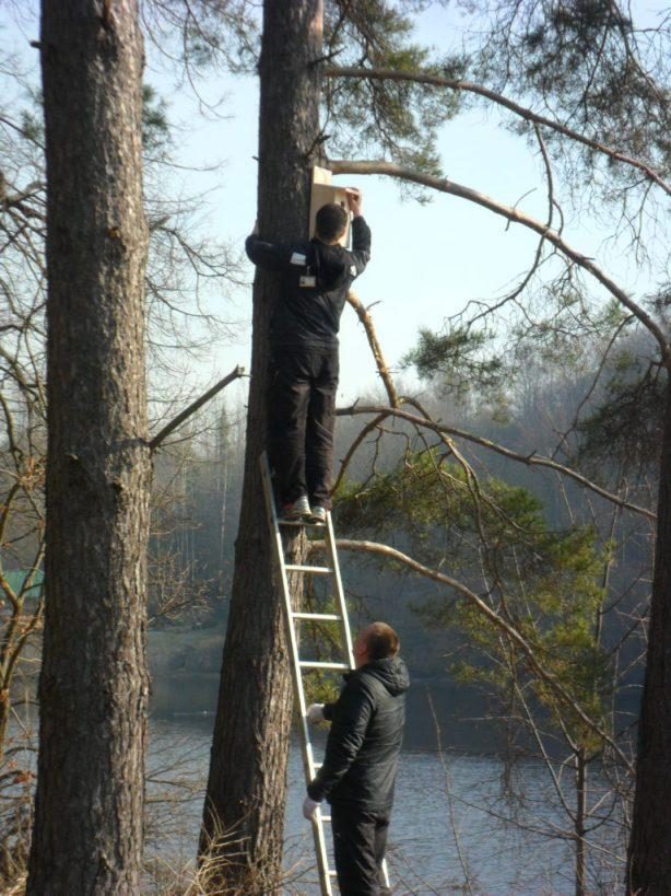 Žemės dieną Lietuvos liaudies buities muziejuje iškelti nuteistųjų pagaminti inkilai