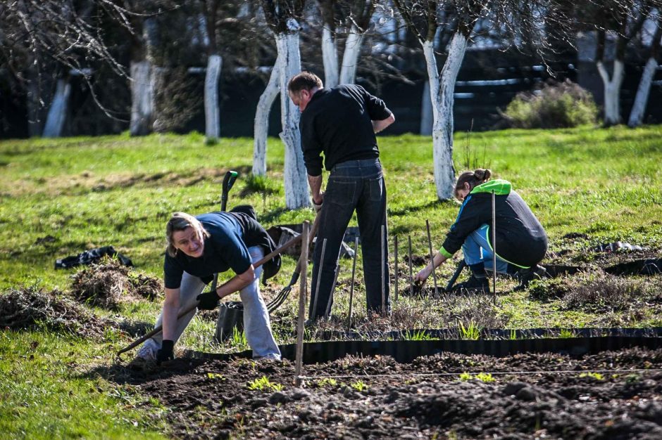 Talka Pažaislyje baigėsi sveikuoliškomis vaišėmis