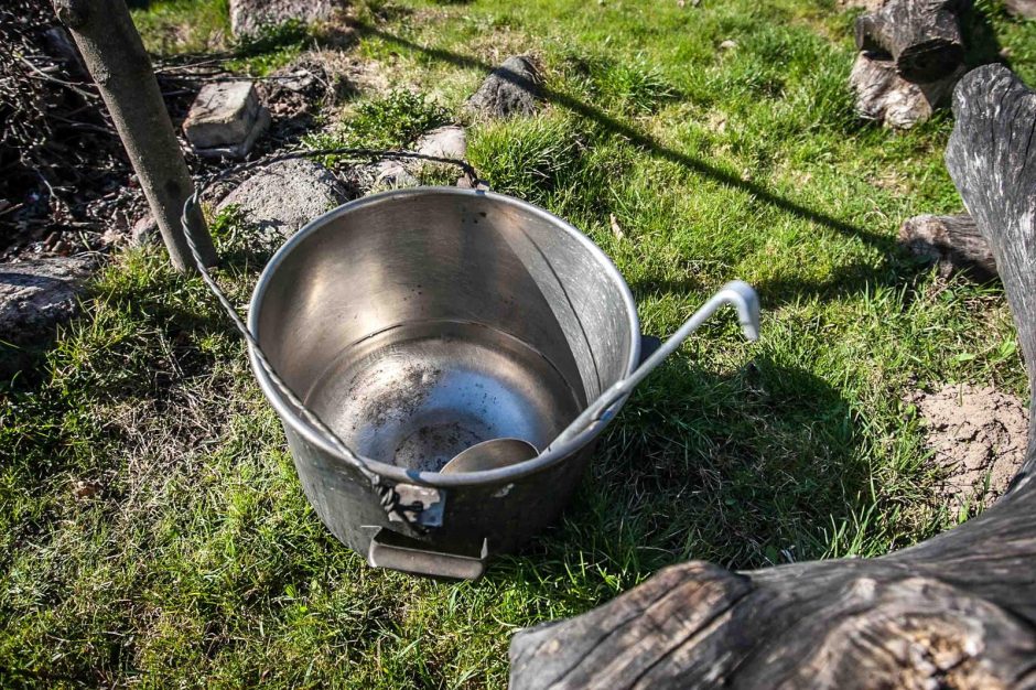 Talka Pažaislyje baigėsi sveikuoliškomis vaišėmis