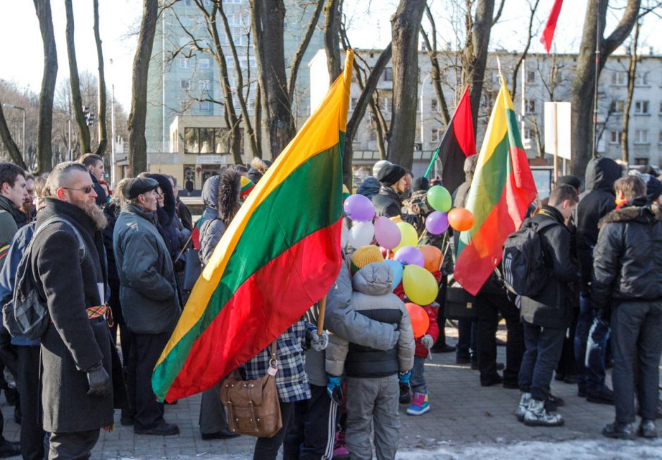 Tautinio jaunimo eitynėse skambėjo šūkis: šlovė Ukrainai!