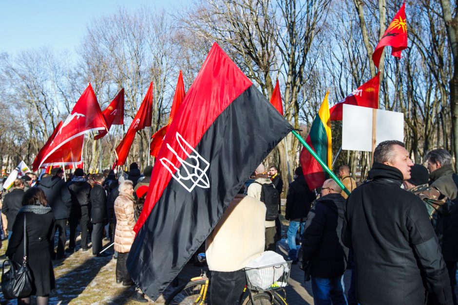 Tautinio jaunimo eitynėse skambėjo šūkis: šlovė Ukrainai!