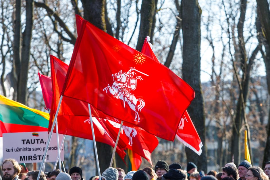 Tautinio jaunimo eitynėse skambėjo šūkis: šlovė Ukrainai!