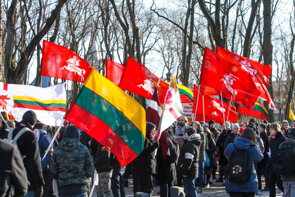 Tautinio jaunimo eitynėse skambėjo šūkis: šlovė Ukrainai!