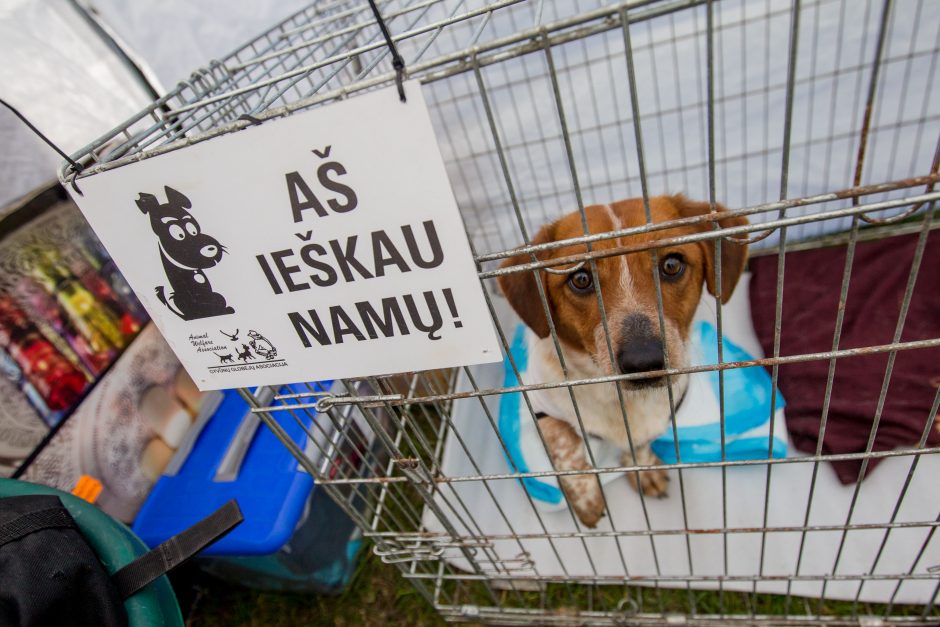 Santaka tapo šeimų ir augintinių oaze