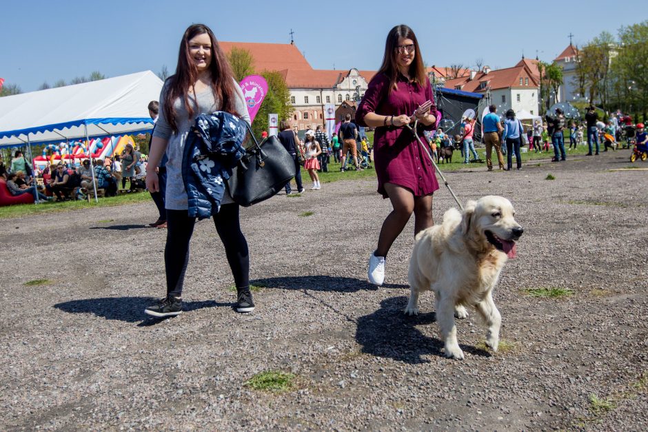 Santaka tapo šeimų ir augintinių oaze