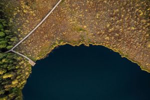 Seimas priėmė strategiją, kuri leis Lietuvai tapti klimatui neutralia valstybe