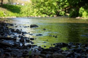 Higienos institutas: Naujosios Vilnios maudykloje nerekomenduojama maudytis