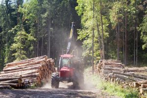 Medienos ir jos gaminių importas pernai mažėjo 26 proc., eksportas – 16 proc.