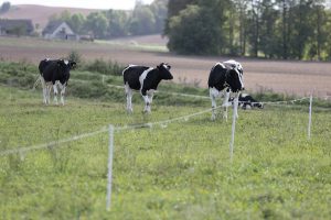 Smulkiųjų ir vidutinių ūkių gyvybingumui didinti – parama