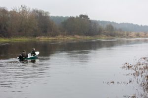 Vyriausybė dėl žuvivaisos reikalų: perleidimas kitai ministerijai biudžeto lėšų nesutaupys