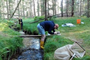 Biologinei įvairovei iškilusi grėsmė