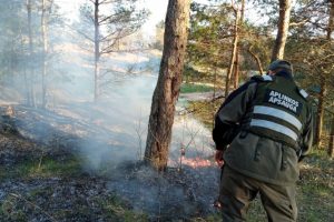 Per savaitę gauta beveik 600 pranešimų apie galimus aplinkosaugos pažeidimus