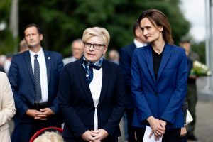 V. Čmilytė-Nielsen: neeilinė Seimo sesija planuojama kitą savaitę