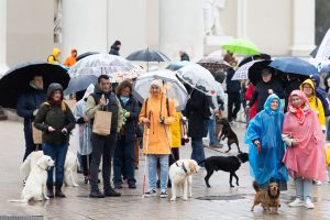 Šunų vedlių parengimo reikalaujantys neregiai surengė eiseną: tiki, kad ledai pajudės