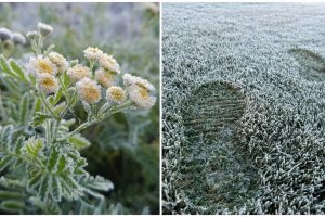 Meteorologai: užfiksuota šalčiausia šio rudens naktis