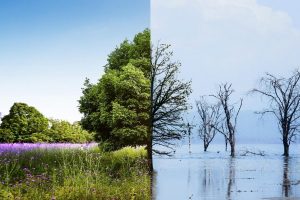 JAV ir Kiniją ragina bendrauti tiesiogiai, bendradarbiauti klimato srityje