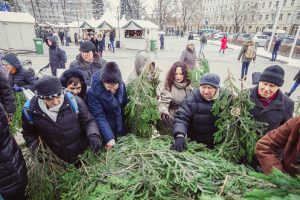 Visoje šalyje miškininkai surengs eglių šakų dalijimo akciją