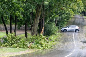 Radviliškio rajonas atšaukia dėl audros padarinių paskelbtą ekstremalią situaciją