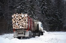 Suomija ir Švedija kritikuojamos dėl saugotinų miškų kirtimo