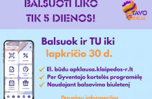 „Tavo idėja“: balsuoti liko vos penkios dienos!