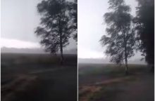 Audra Lietuvoje: Šiluvoje vėjas išlaužė medžius, miestelyje dingo elektra