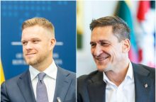 Turtingiausios tarp ministrų – G. Landsbergio ir D. Kreivio šeimos