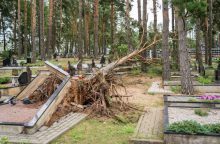 Praūžusi audra nusiaubė ir Panevėžio kapines: išvartyti paminklai, nuvirto medžiai