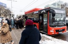 Prezidento patarėja tikisi, kad Vyriausybė ras lėšų transporto lengvatoms