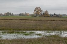 Seime stringa liberalesnis besiribojančių žemės sklypų pardavimas