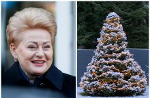 D. Grybauskaitė įsisuko į šventinį sūkurį: Kalėdos vis vien ateis