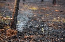 Policija pradėjo tyrimą dėl Minčiagirės girininkijoje kilusio gaisro