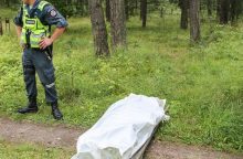 Vilniaus rajono pievoje pamatė šiurpų vaizdą: tiriamas nužudymas