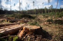 Nuo sausio atšaukiama stichinė nelaimė miškuose: ministras ragina neatsiplaiduoti