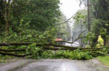 Vilniaus rajone dėl audros padarinių skelbiama ekstremali situacija